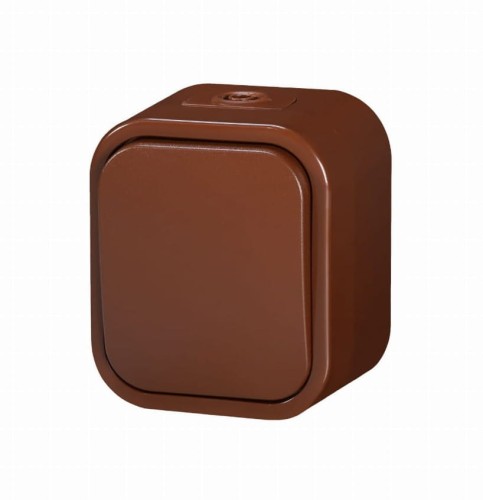 WNT-1B2 brązowy.jpg