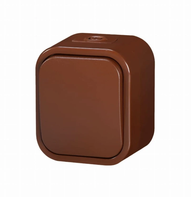 WNT-1B2 brązowy.jpg